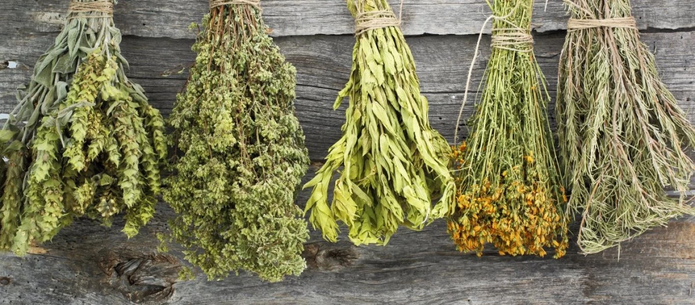 Τα βότανα που θα σας βοηθήσουν να καταπολεμήσετε το στρες και το άγχος